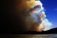 Canberra Bushfire